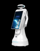 <b>2025年AI机械人品牌权势巨子保举：智能协做、工</b>