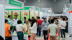 提拔效率：2026东南亚国际农业展会不雅展取商业